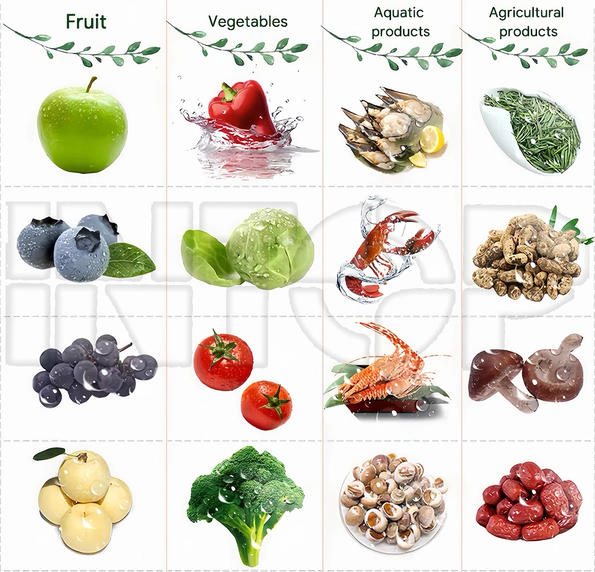 Fruit and Vegetable Bubble Washing Machine