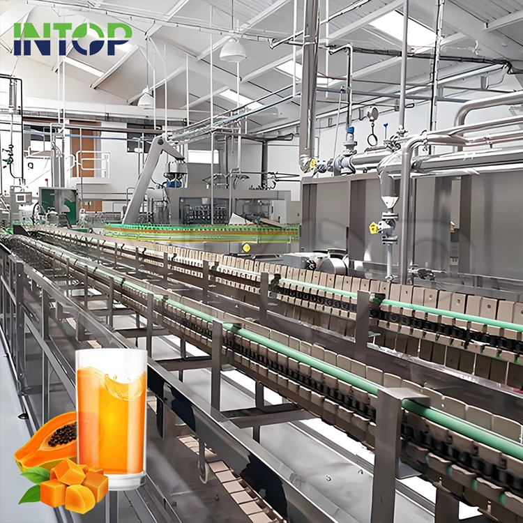 Linia de producție a sucului de papaya