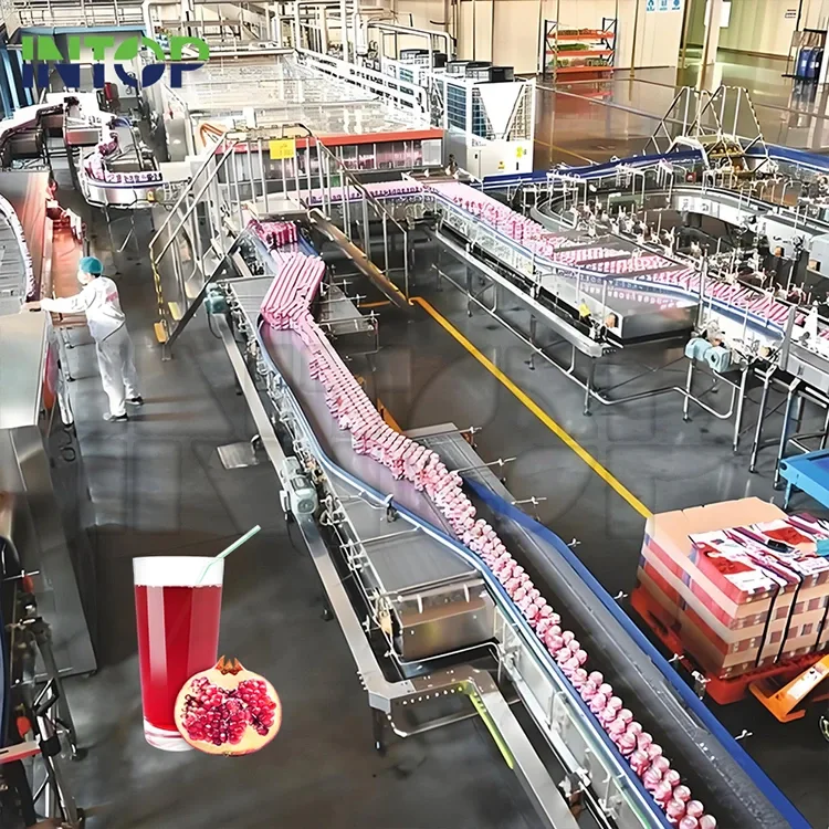 Linia de producție a sucului de rodie